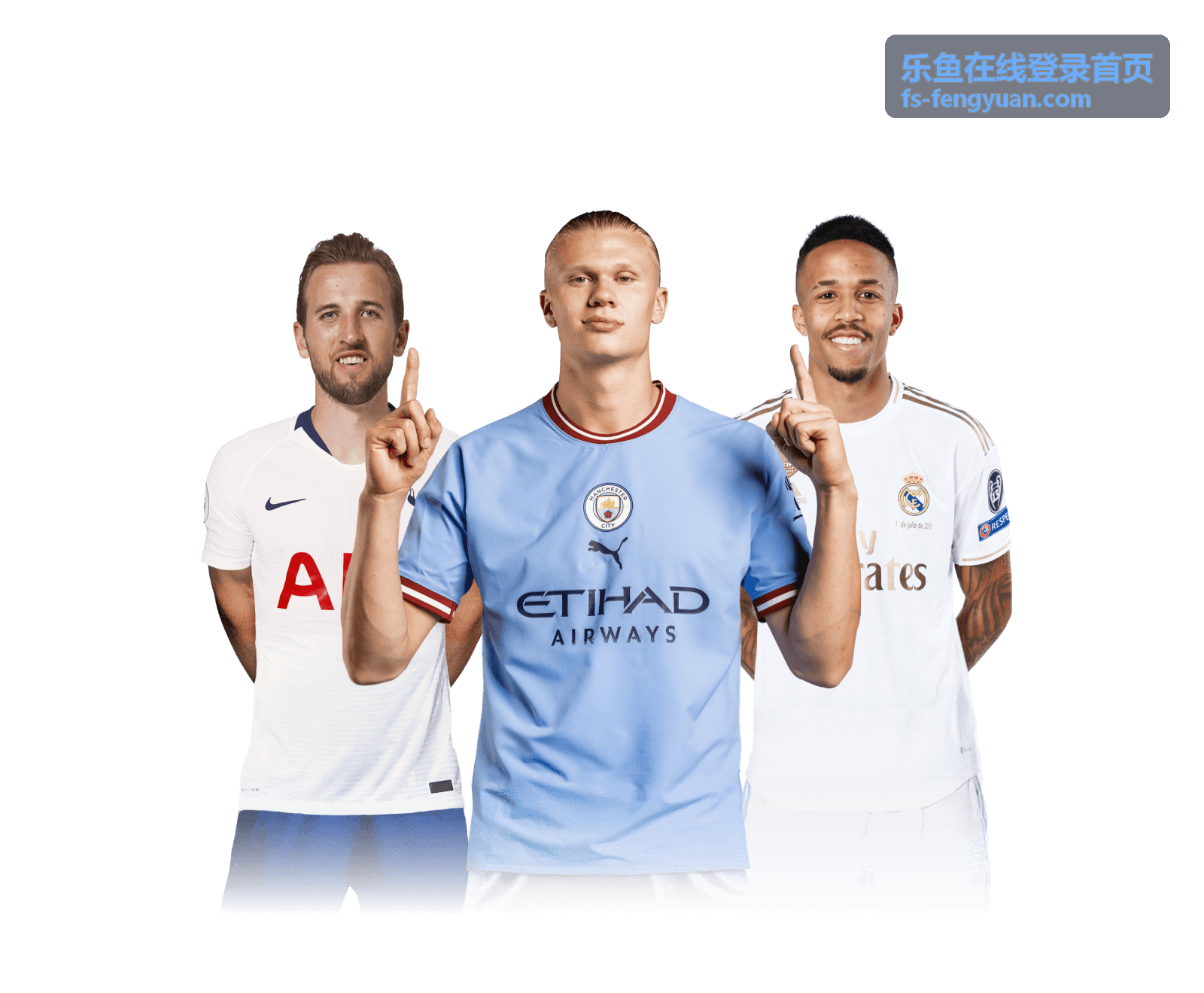 乐鱼在线登录首页 - 访问安全提示封面