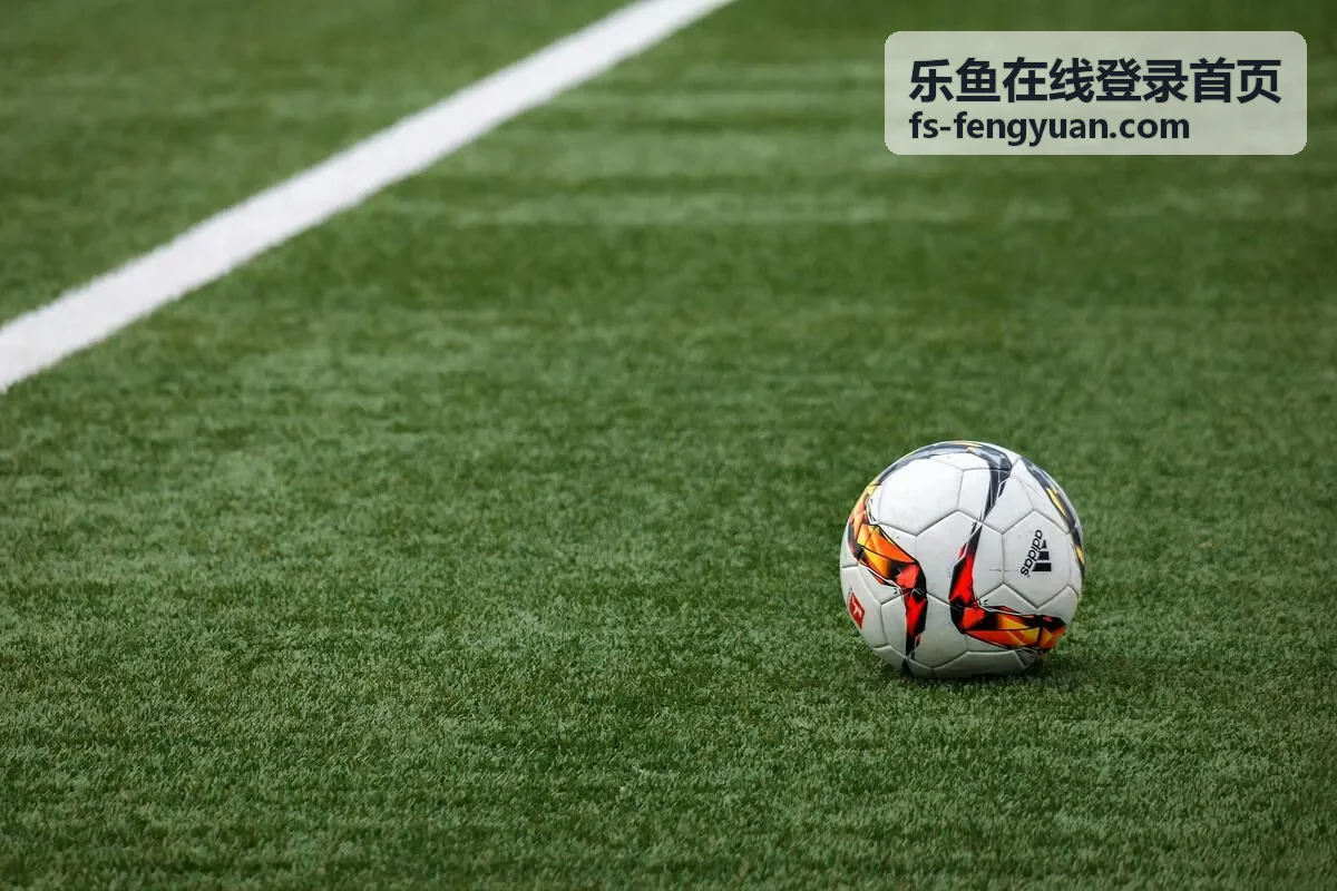 乐鱼在线登录首页 - 多终端适配封面