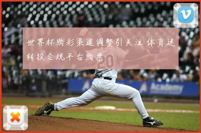 世界杯购彩渠道调整引关注 体育迷转投合规平台购票