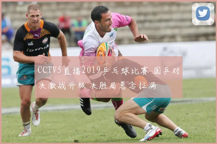 CCTV5直播2019乒乓球比赛 国乒对决激战升级 决胜局悬念拉满