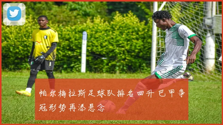帕尔梅拉斯足球队排名回升 巴甲争冠形势再添悬念