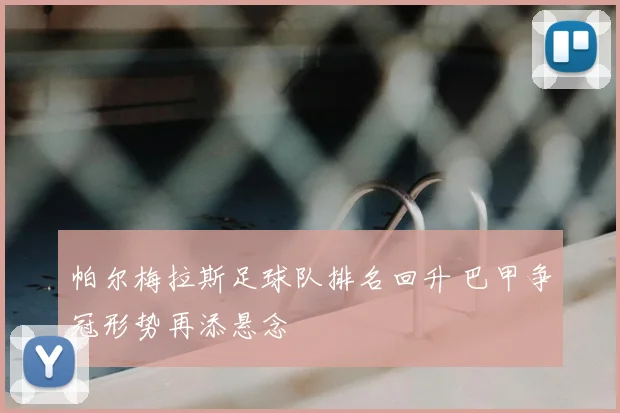 帕尔梅拉斯足球队排名回升 巴甲争冠形势再添悬念