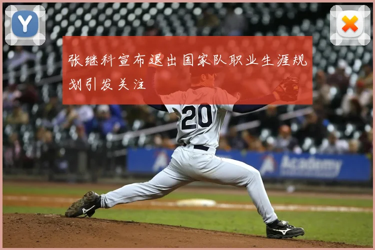 张继科宣布退出国家队职业生涯规划引发关注