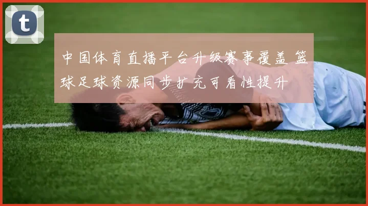中国体育直播平台升级赛事覆盖 篮球足球资源同步扩充可看性提升
