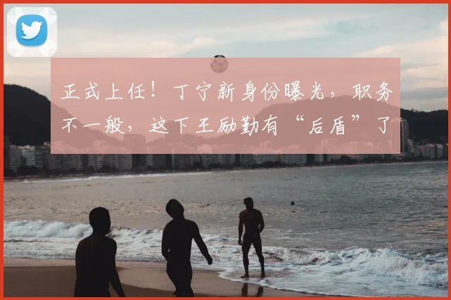 正式上任！丁宁新身份曝光，职务不一般，这下王励勤有“后盾”了