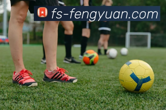 环球app网址APP 高清赛事图